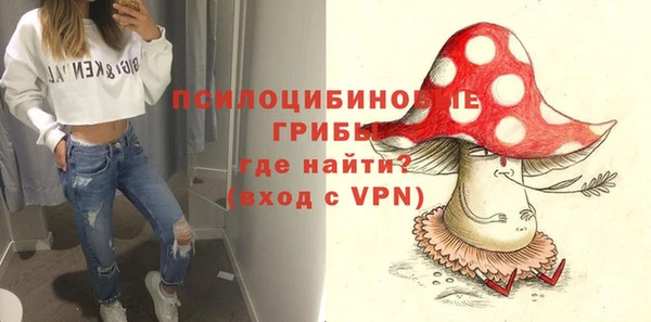 стаф Волоколамск