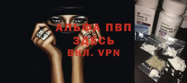 стаф Волоколамск