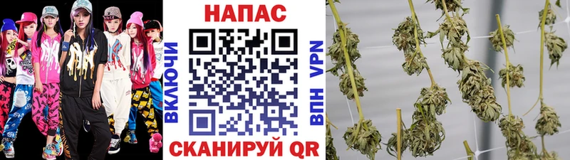Каннабис Amnesia Муром